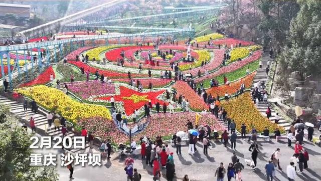 五彩郁金香花海迎客来