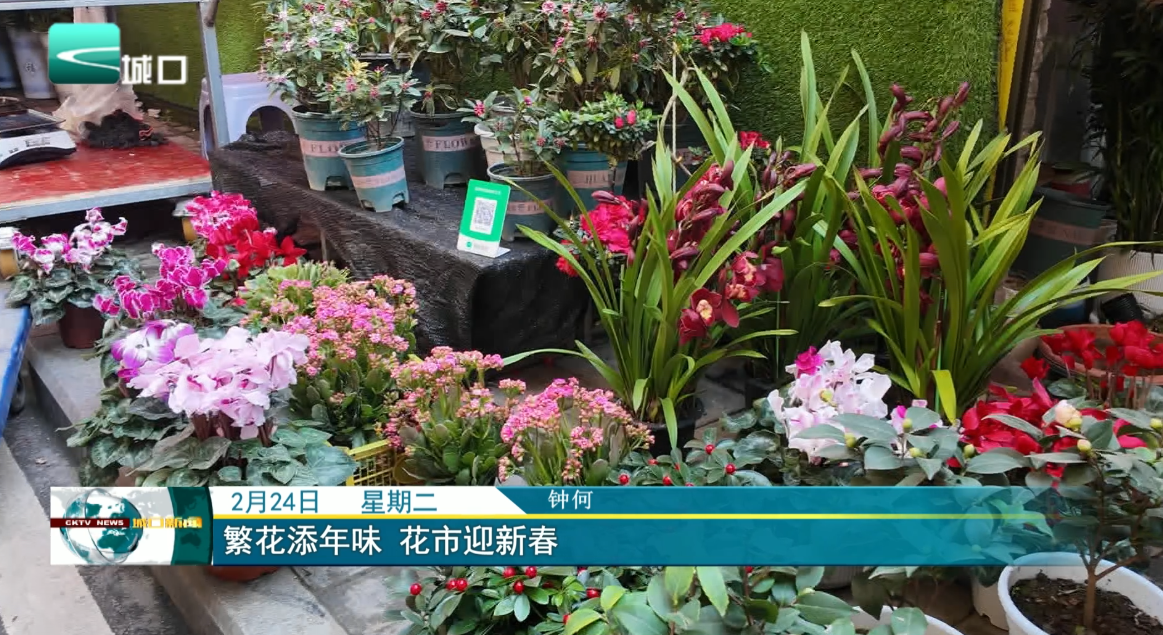 繁花添年味 花市迎新春