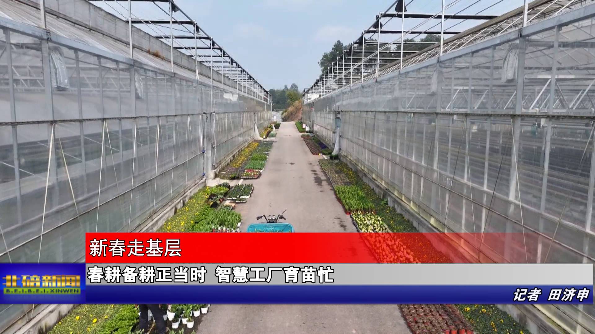 春耕备耕正当时 智慧工厂育苗忙