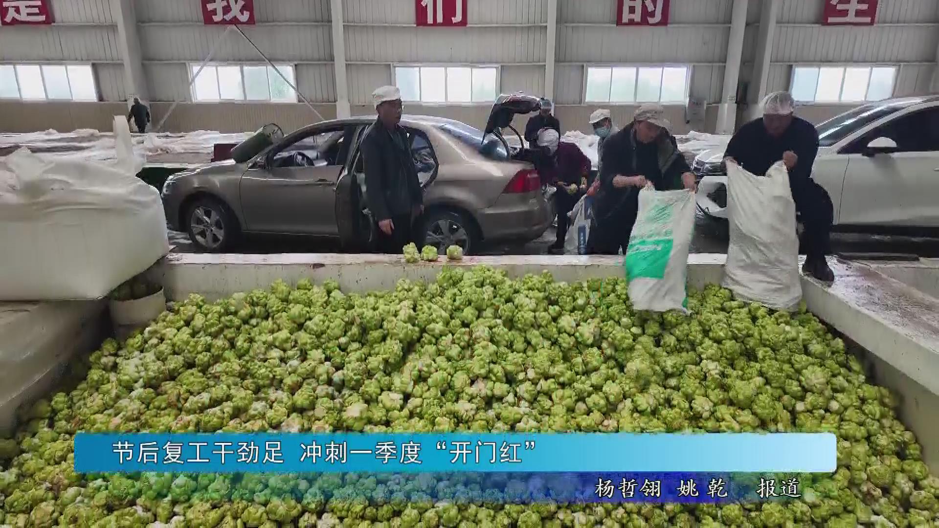 节后复工干劲足 冲刺一季度“开门红”