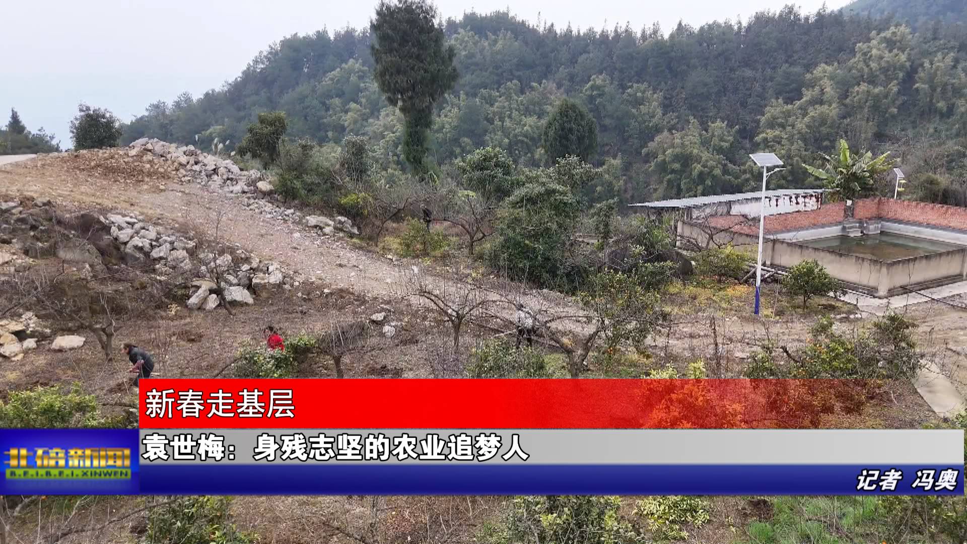 袁世梅：身残志坚的农业追梦人