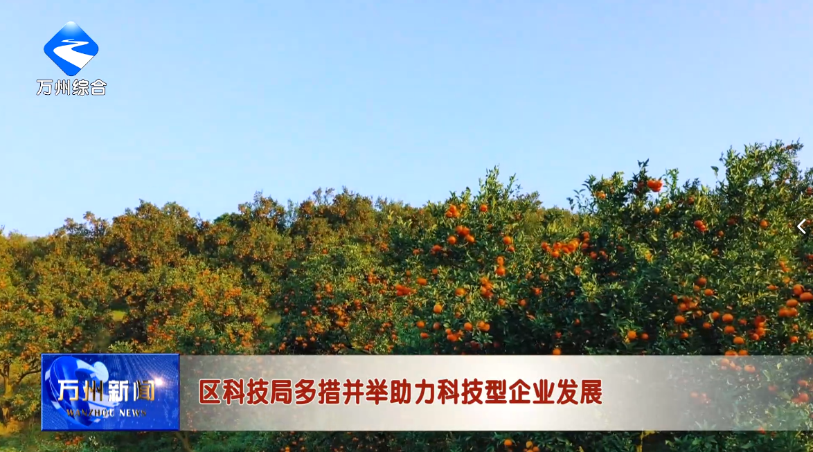 区科技局多措并举助力科技型企业发展