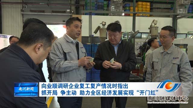 向业顺调研企业复工复产情况时指出 抓开局 争主动 助力全区经济发展实现“开门红”