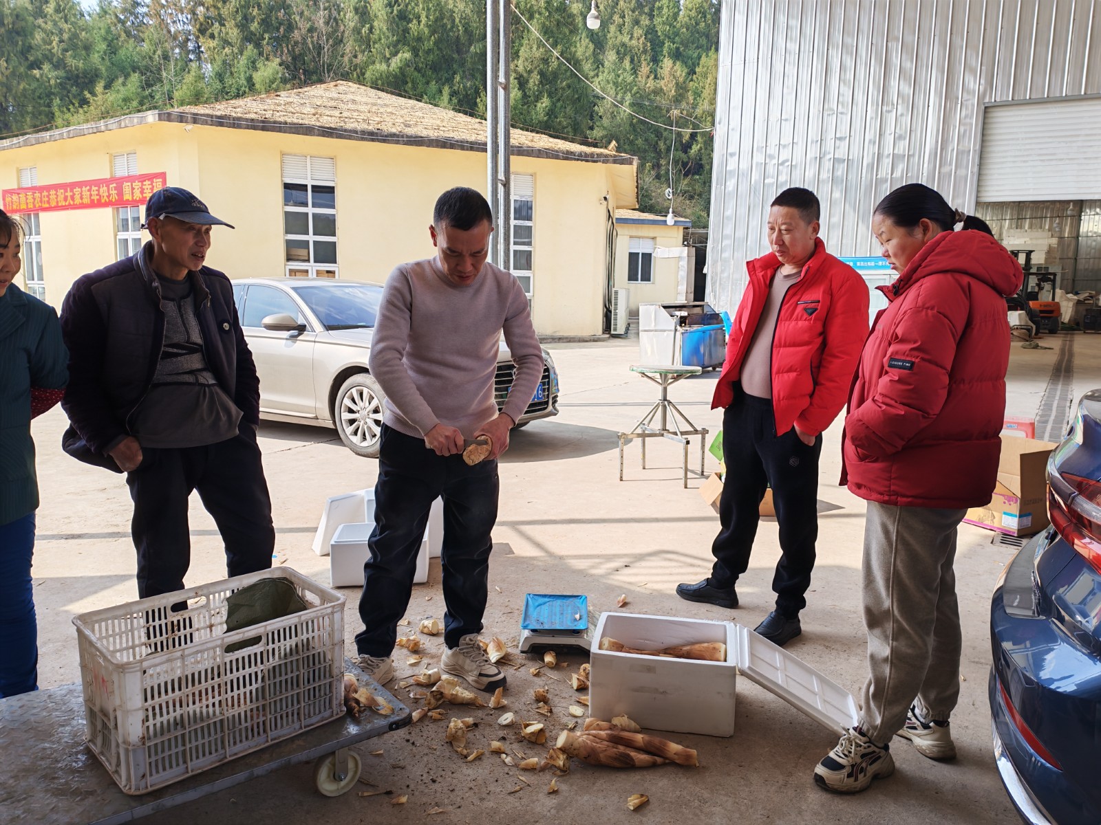 市民采购鲜笋,通过保温箱发往全国各地。拍摄 :彭群英.jpg