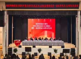 谢家湾街道2026年十大民生实事票选出炉