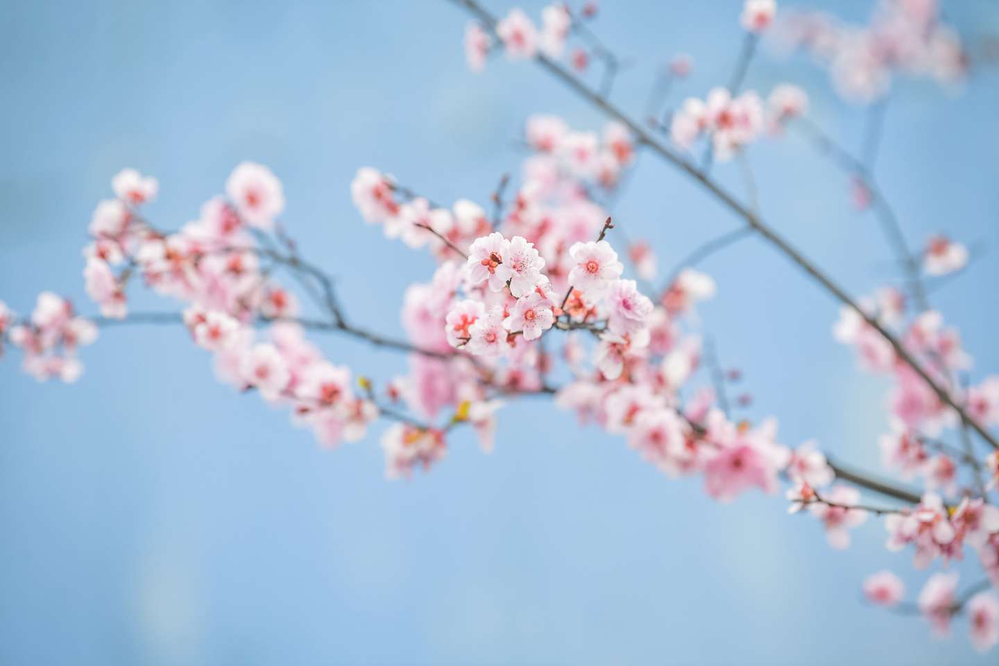  谢家湾跨线桥。 (1).jpeg