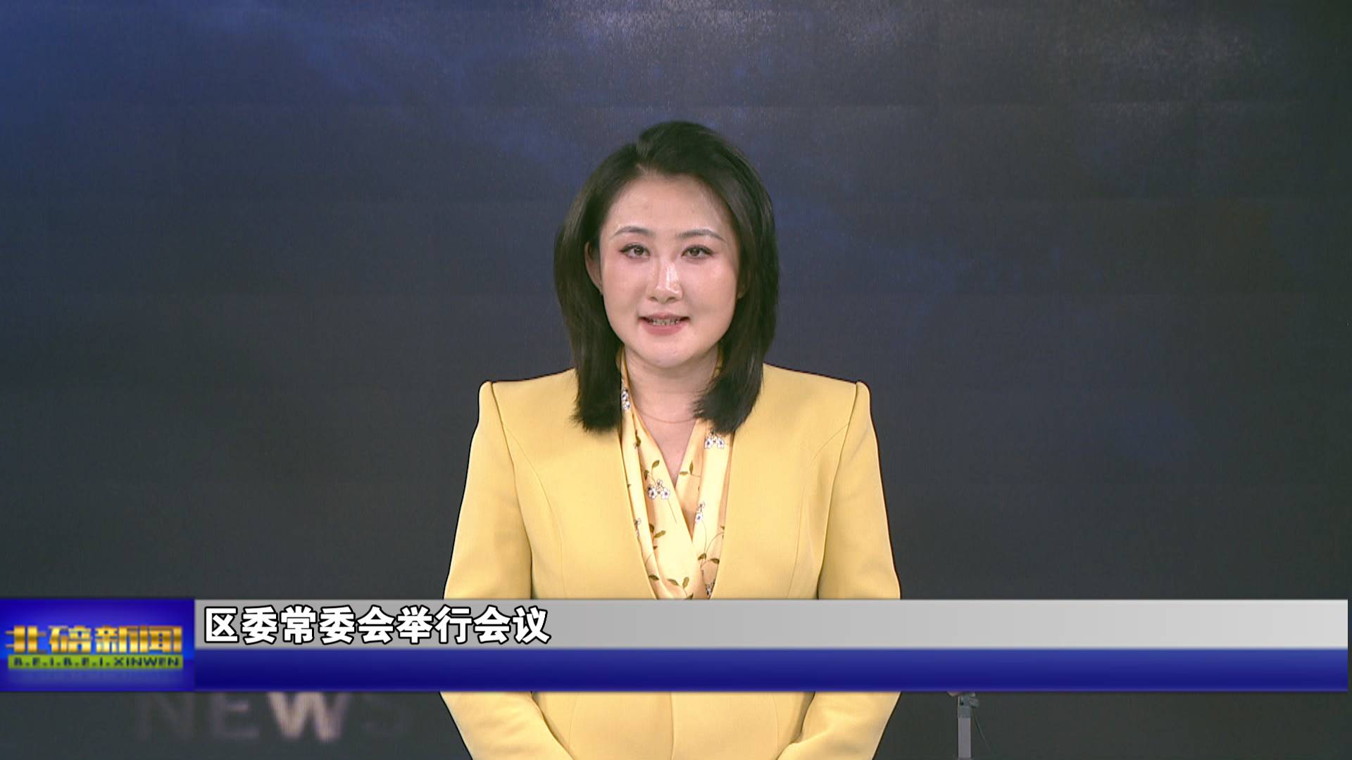 区委常委会举行会议