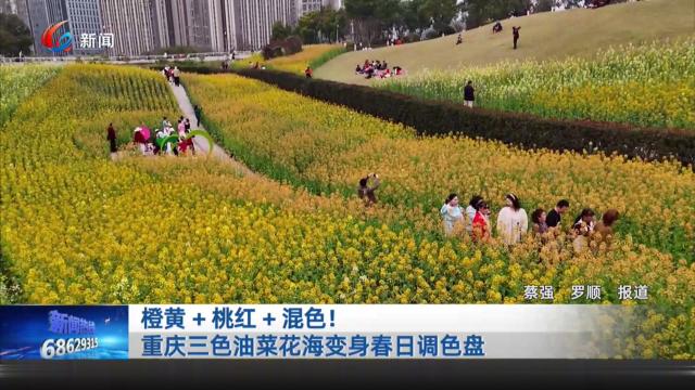 橙黄+桃红+混色！重庆三色油菜花海变身春日调色盘