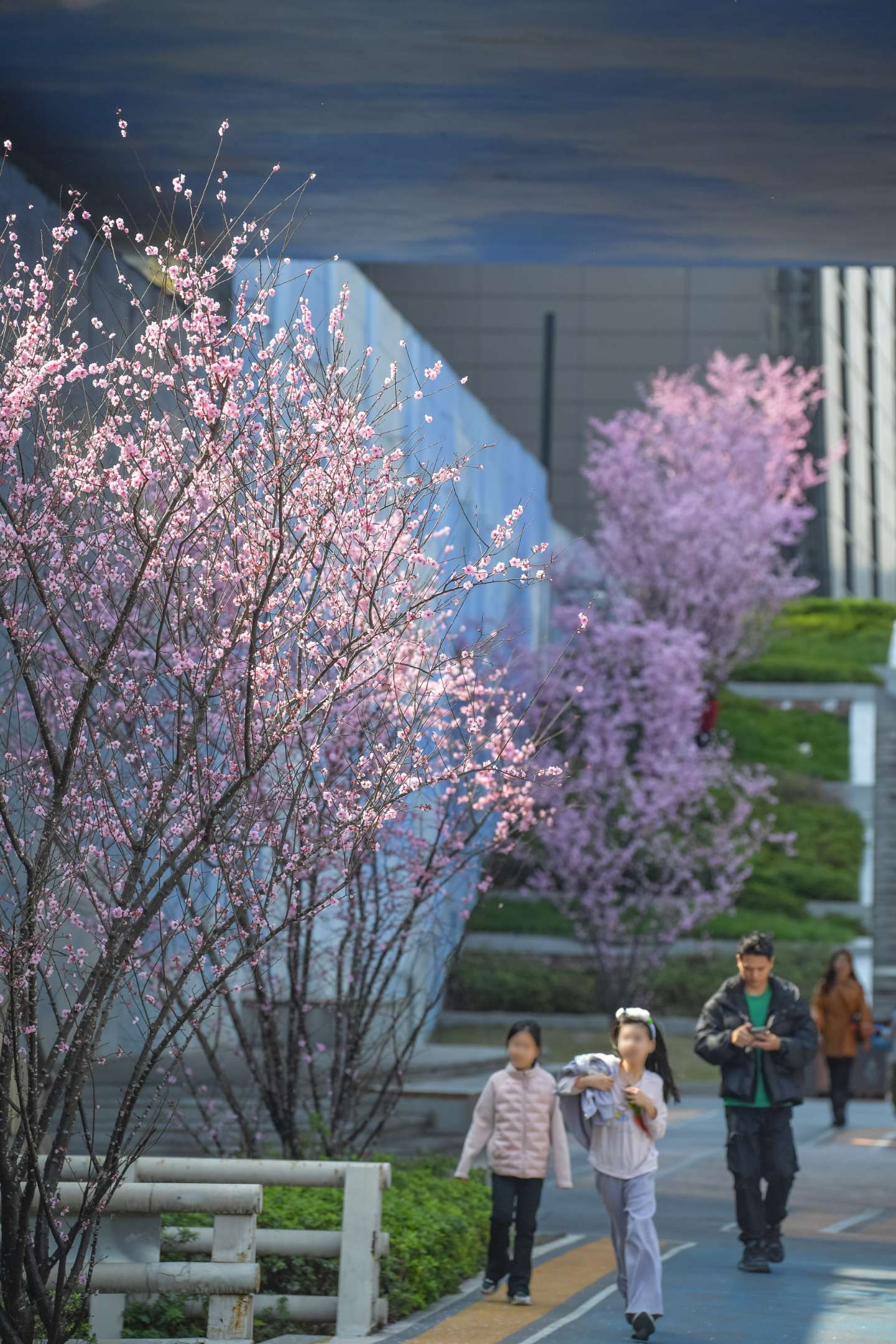  谢家湾跨线桥。 (4).jpeg