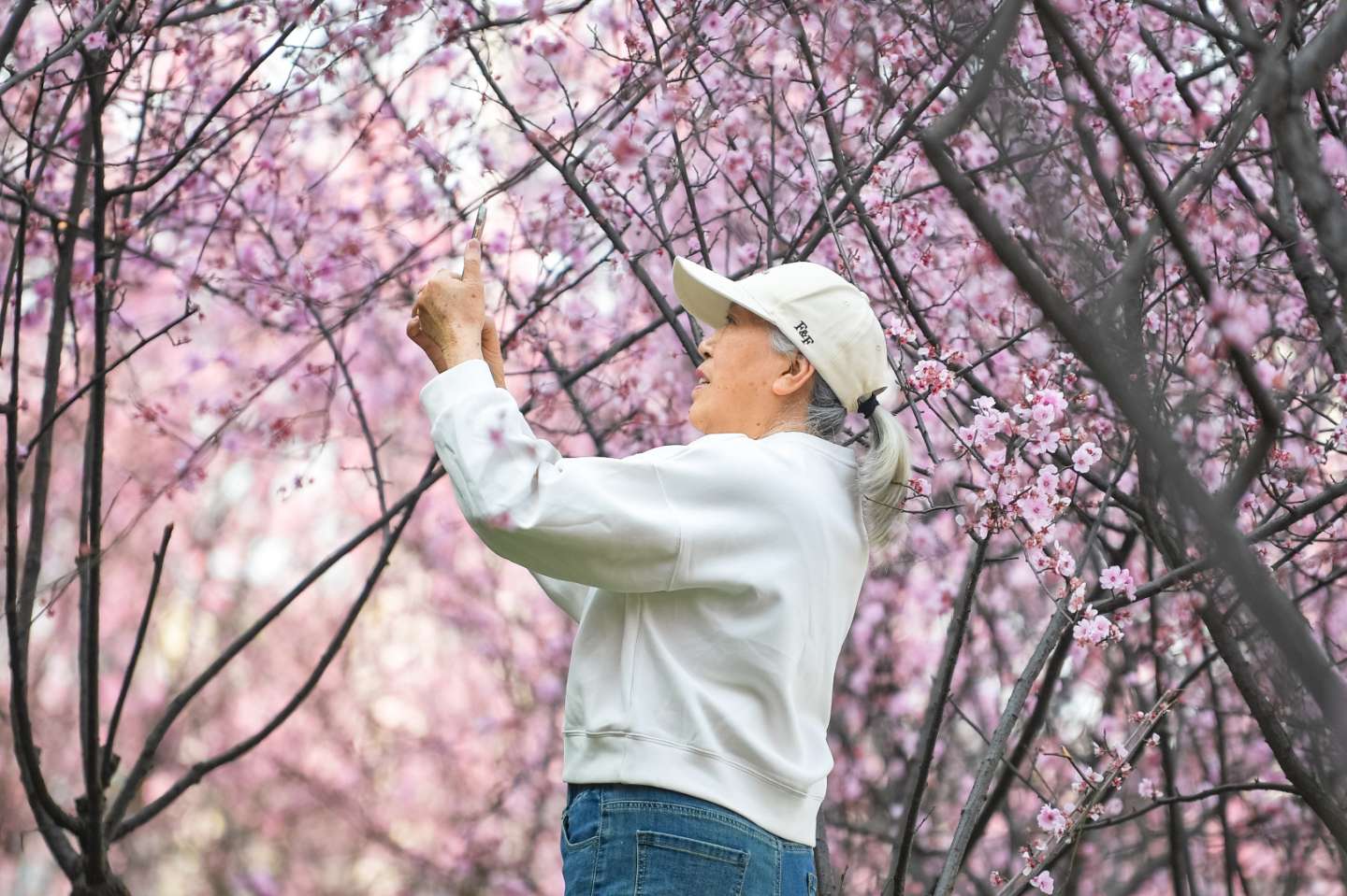 南北大道。 (2).jpeg