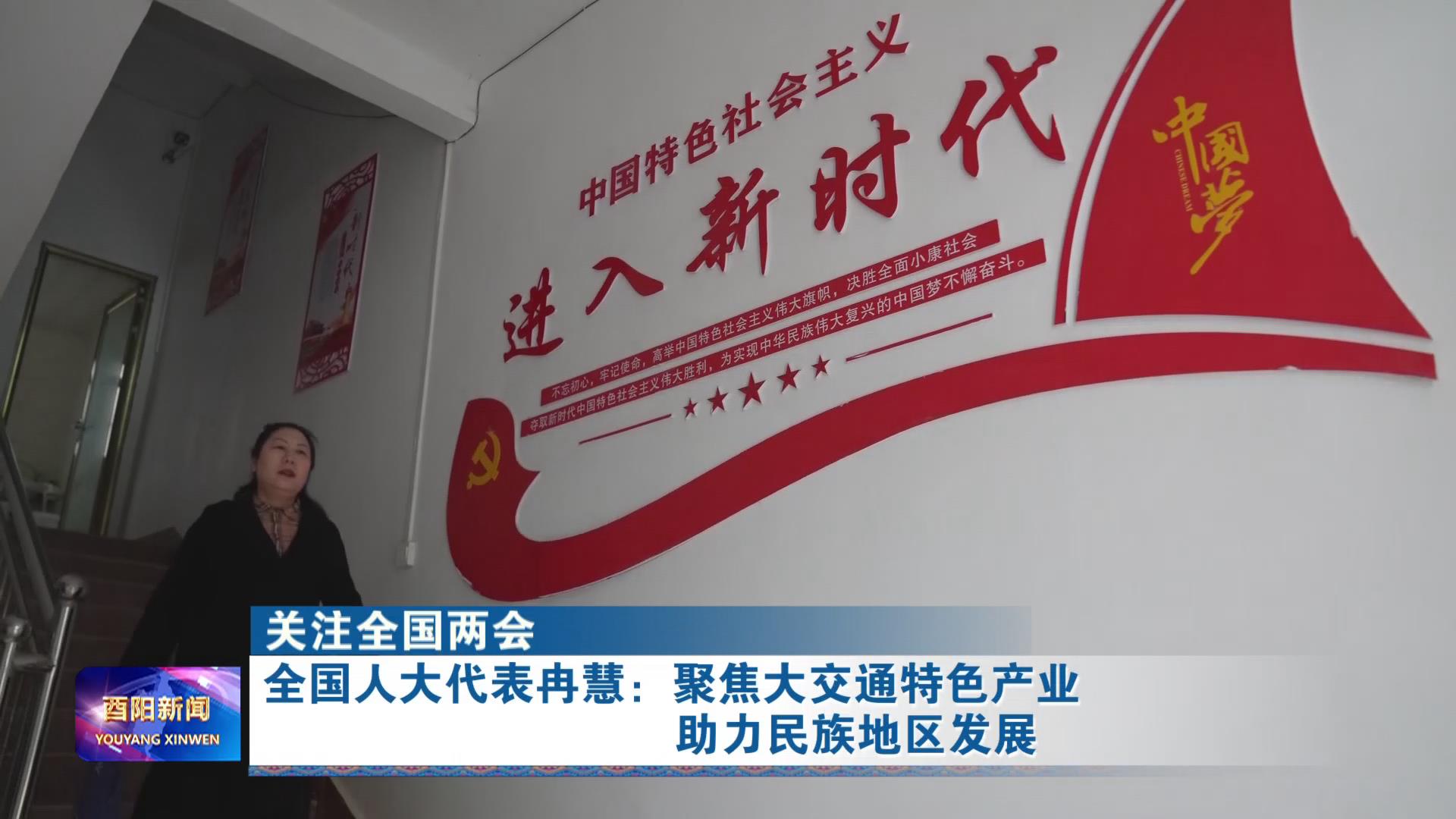 全国人大代表冉慧：聚焦大交通特色产业  助力民族地区发展