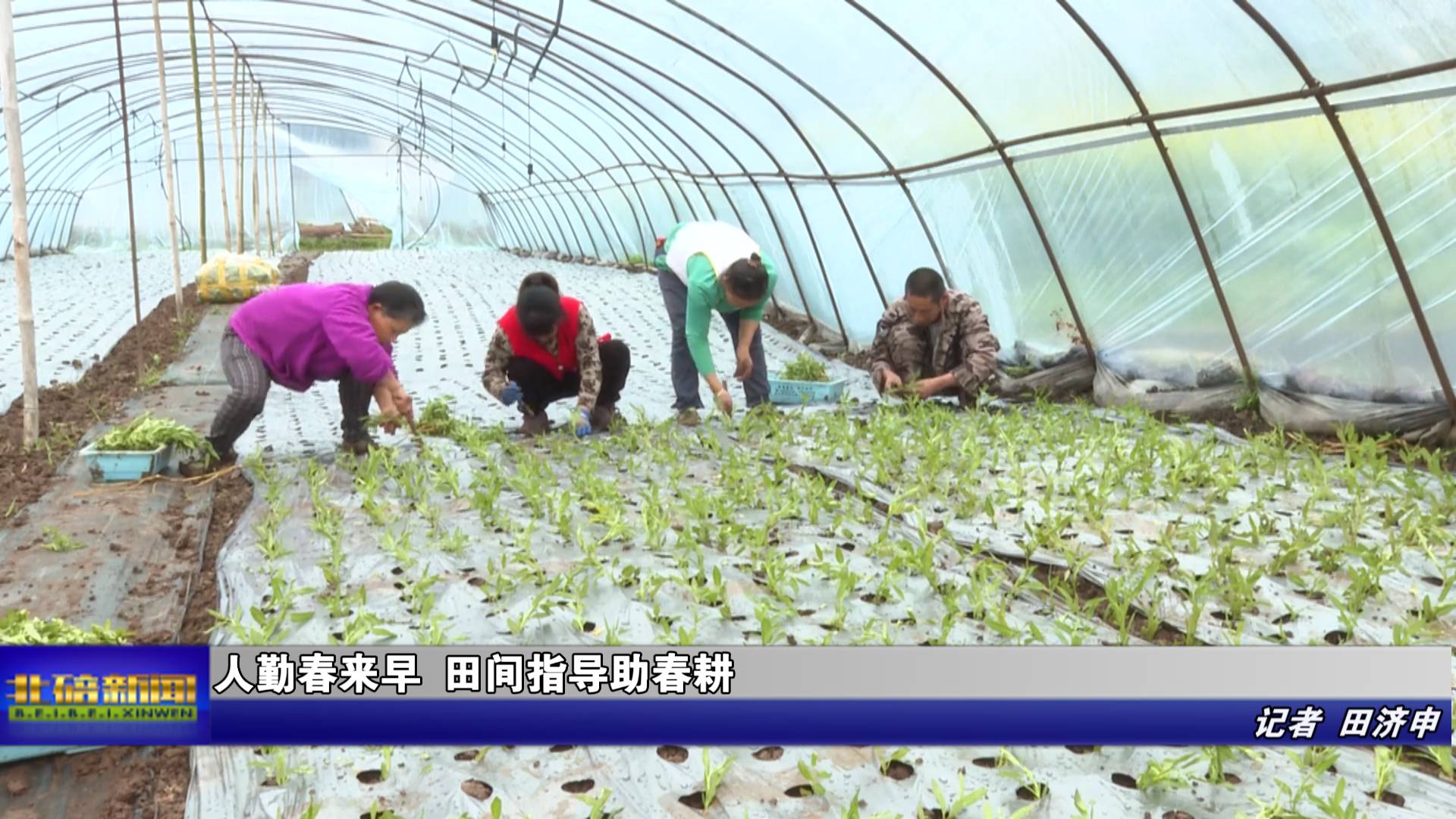人勤春来早 田间指导助春耕