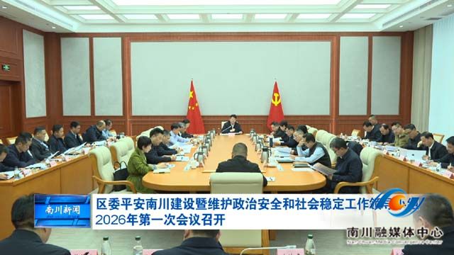 区委平安南川建设暨维护政治安全和社会稳定工作领导小组2026年第一次会议召开