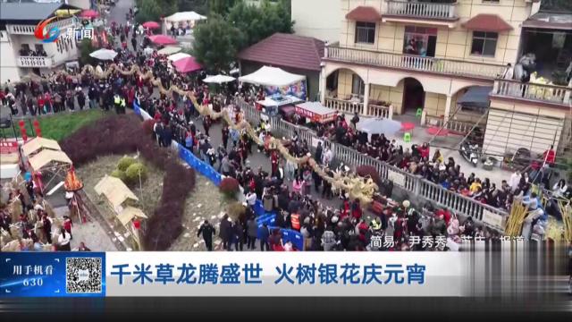 千米草龙腾盛世 火树银花庆元宵