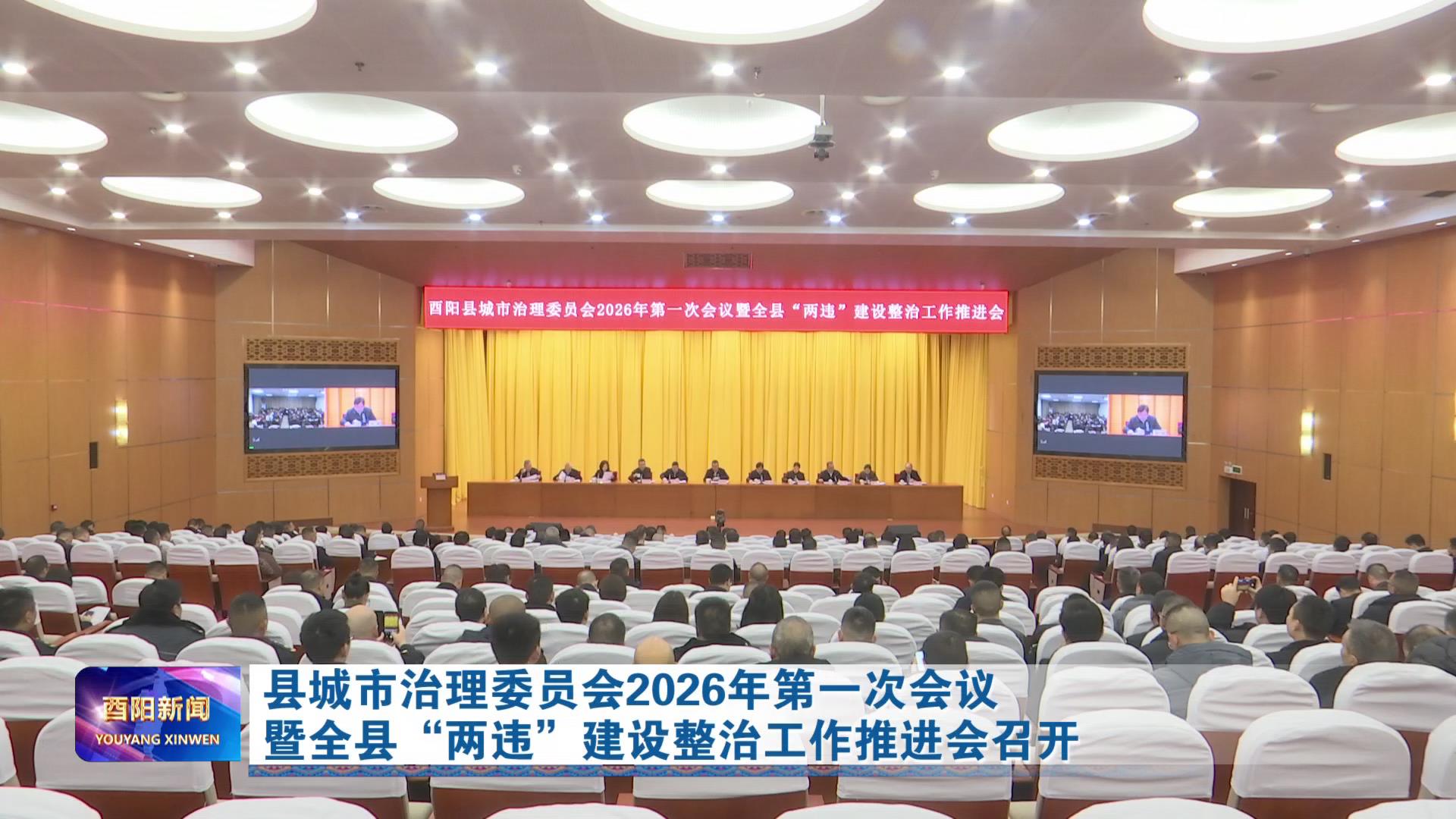 县城市治理委员会2026年第一次会议暨全县“两违”建设整治工作推进会召开