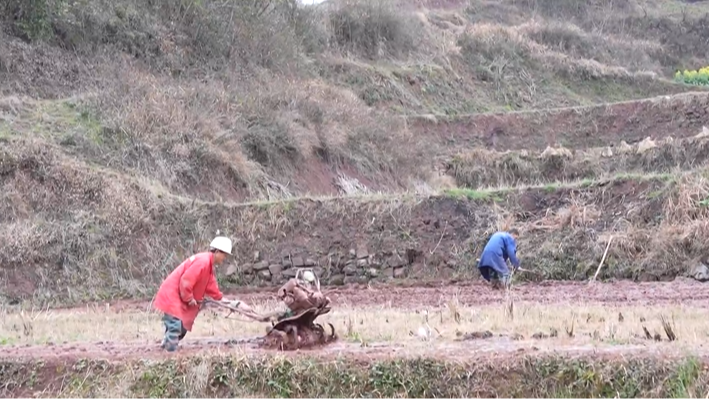 巫山：奏响春耕春种“乐章”