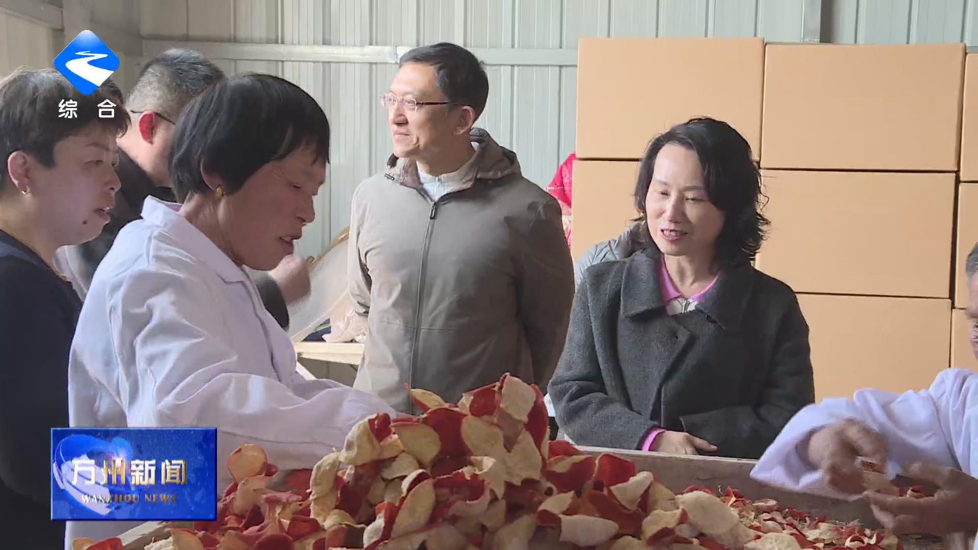 区人大常委会到太龙镇调研 王频参加