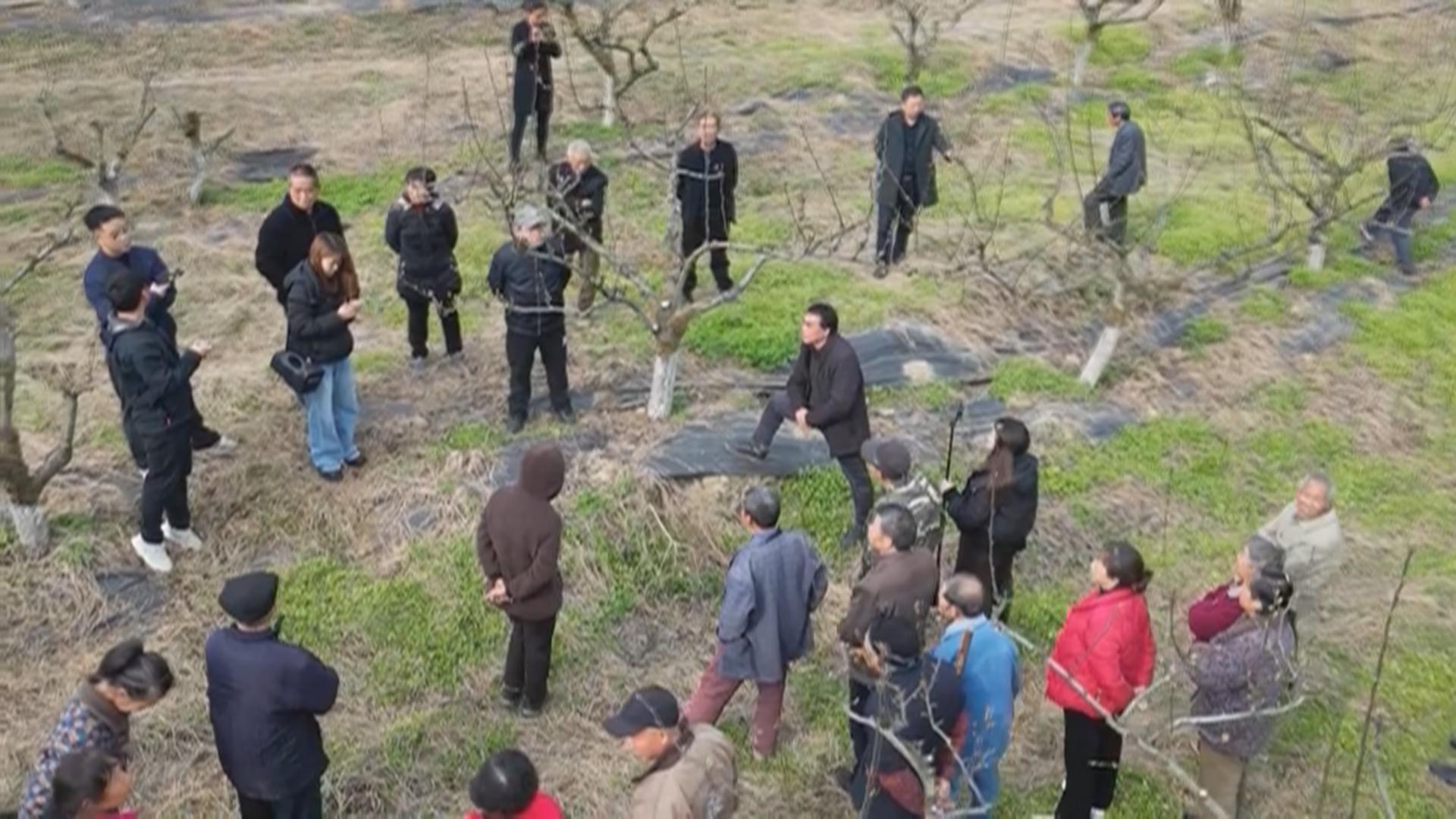 梨园课堂开进田垄 果农喜提“春管经”