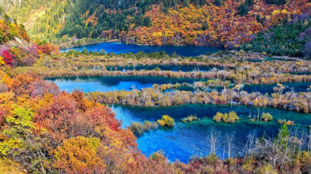 不负好春光出游正当时，“三八”国际妇女节周边景区大波福利请查收