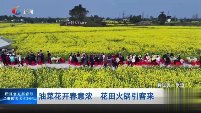油菜花开春意浓 花田火锅引客来
