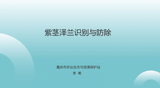 【渝农知识讲堂】紫茎泽兰识别与防除