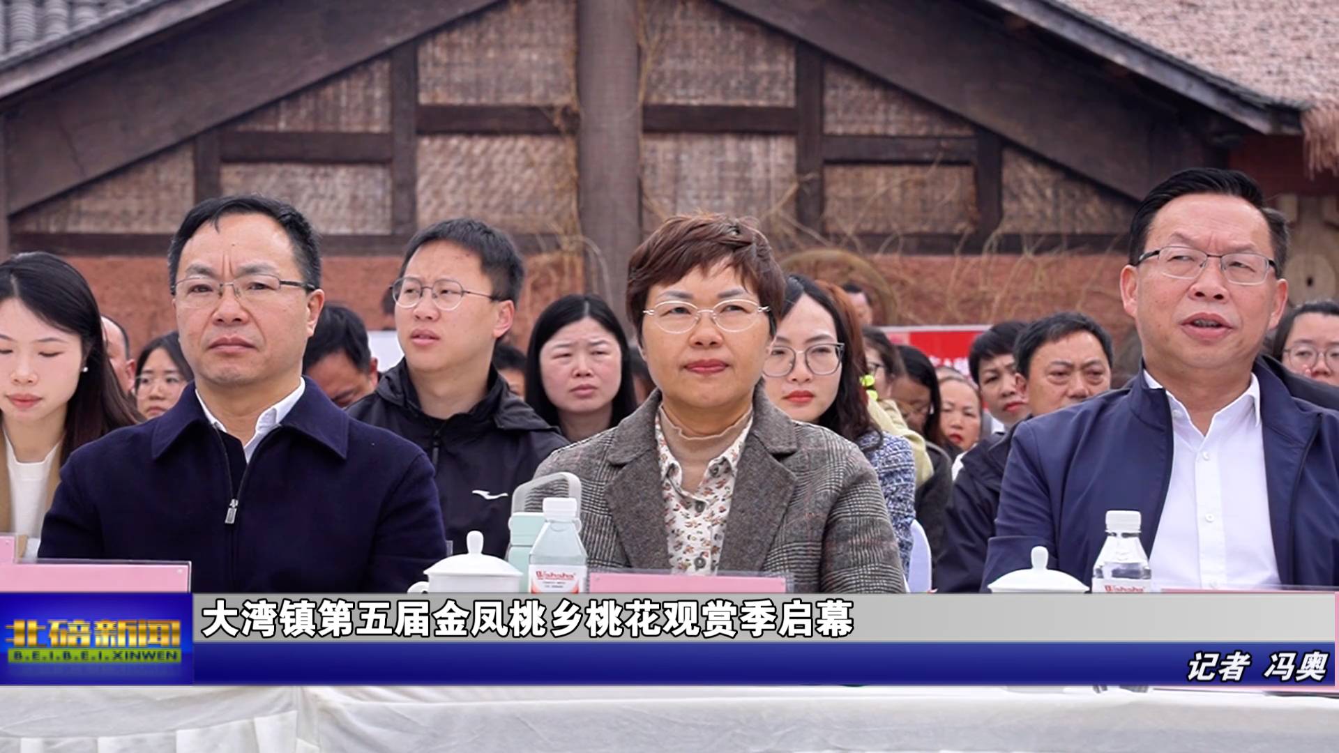 大湾镇第五届金凤桃乡桃花观赏季启幕