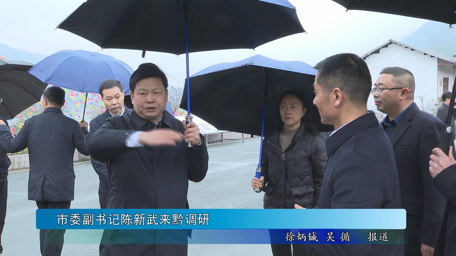 市委副书记陈新武来黔调研