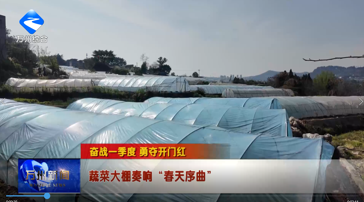 【奋战一季度 勇夺开门红】蔬菜大棚奏响“春天序曲”