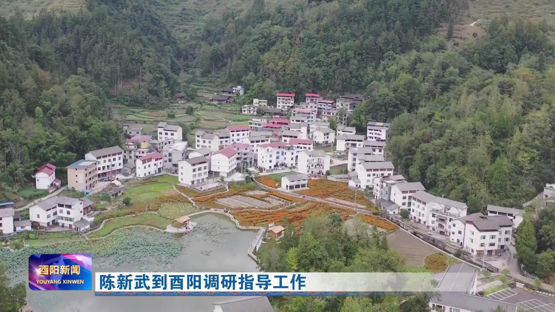 陈新武到酉阳调研指导工作