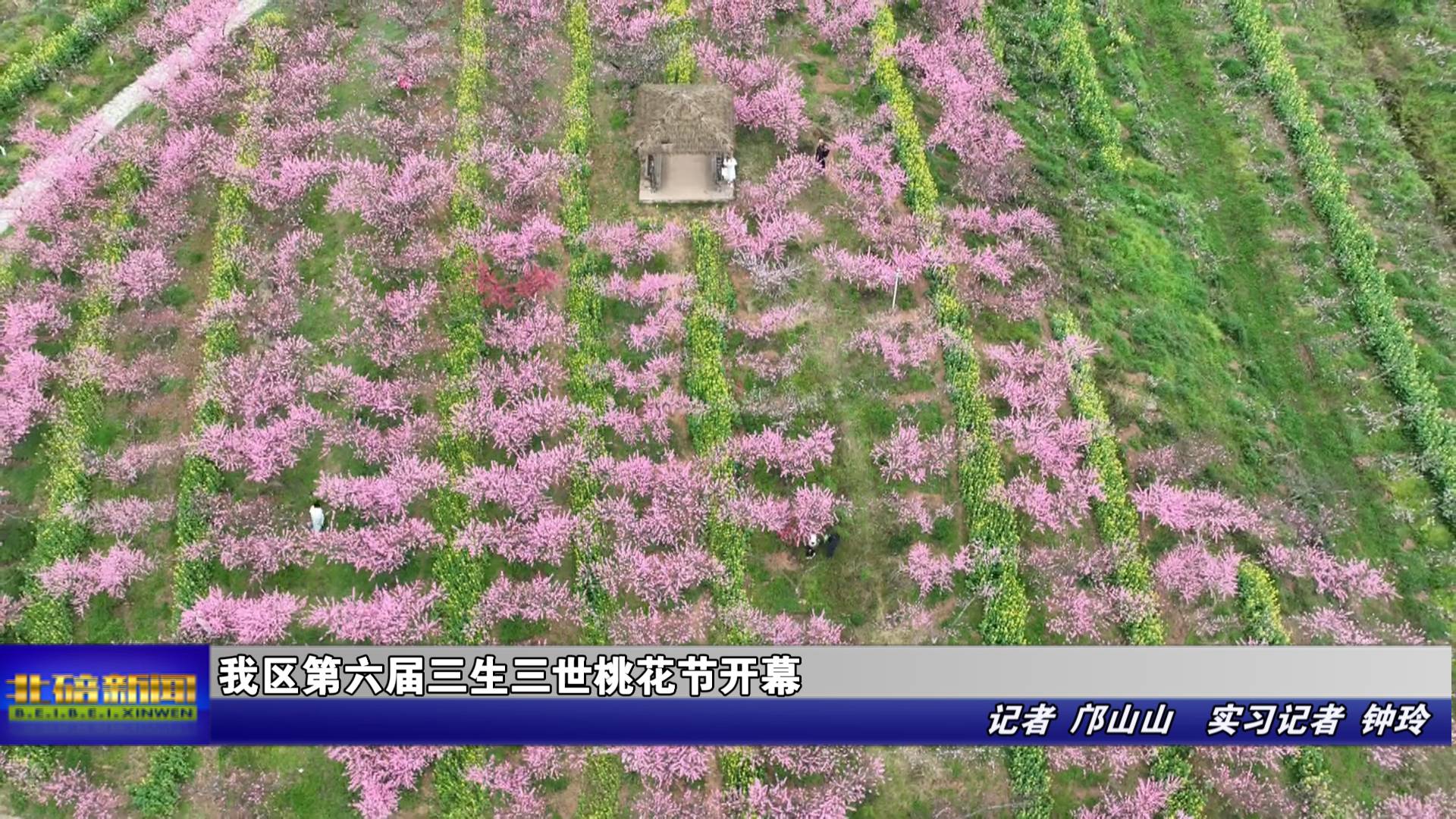 我区第六届三生三世桃花节开幕