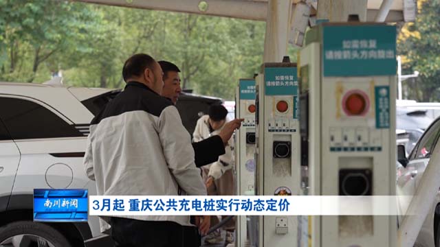 3月起 重庆公共充电桩实行动态定价