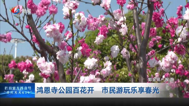 鸿恩寺公园百花开 市民游玩乐享春光