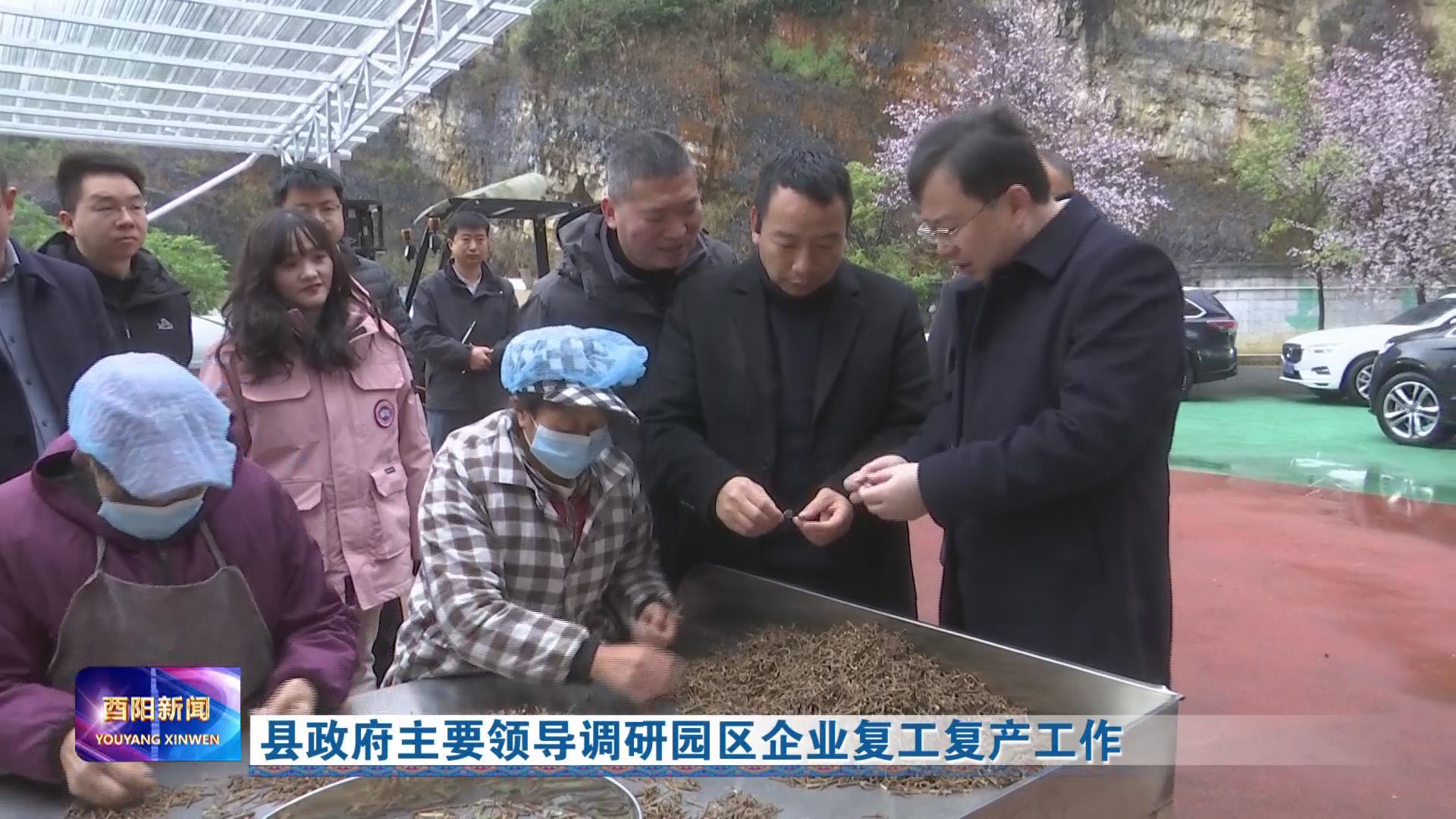 县政府主要领导调研园区企业复工复产工作