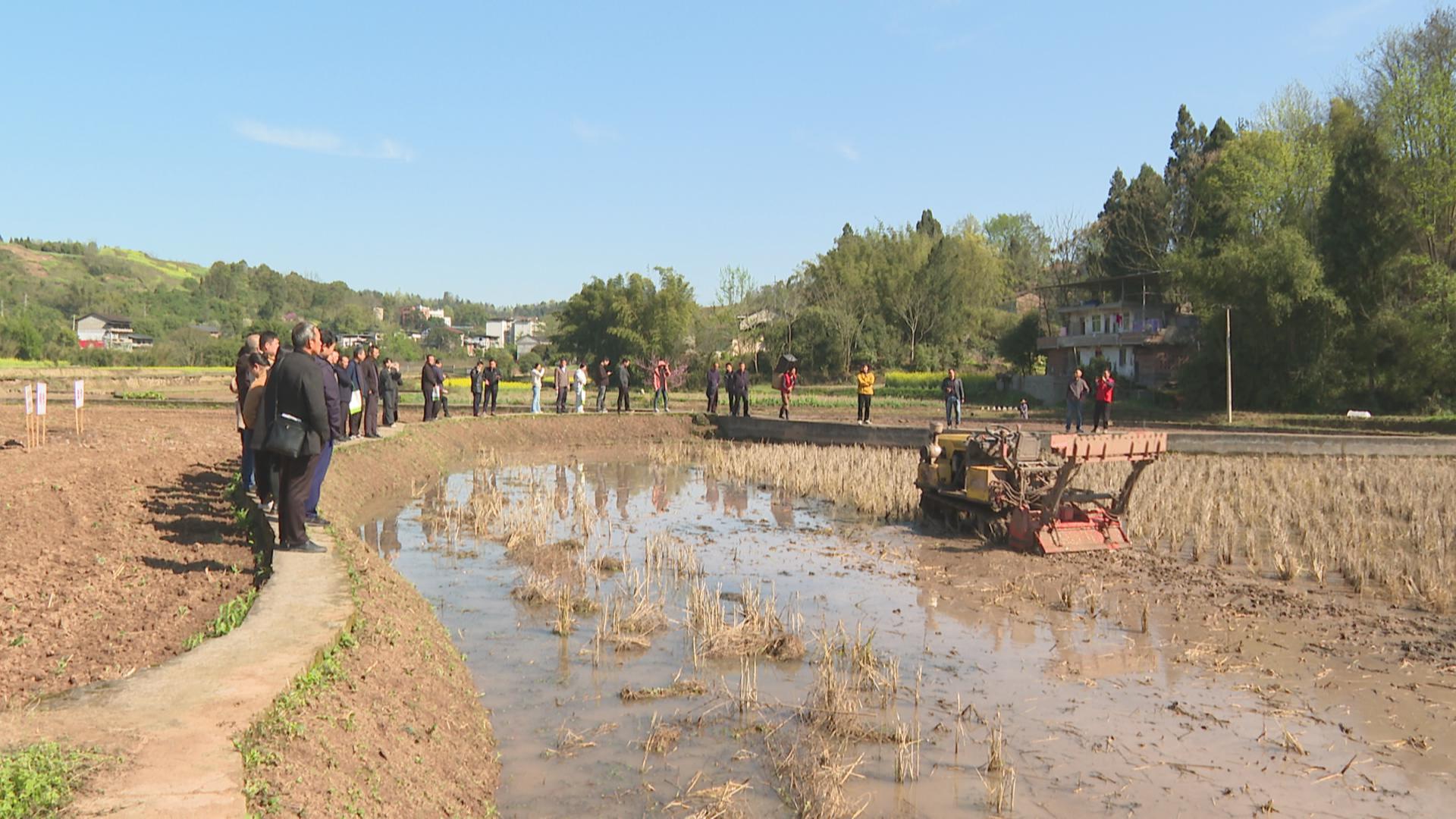 2026年全区春耕春播现场会召开