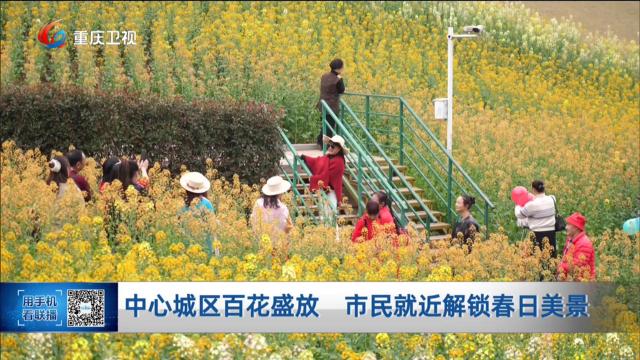 中心城区百花盛放 市民就近解锁春日美景