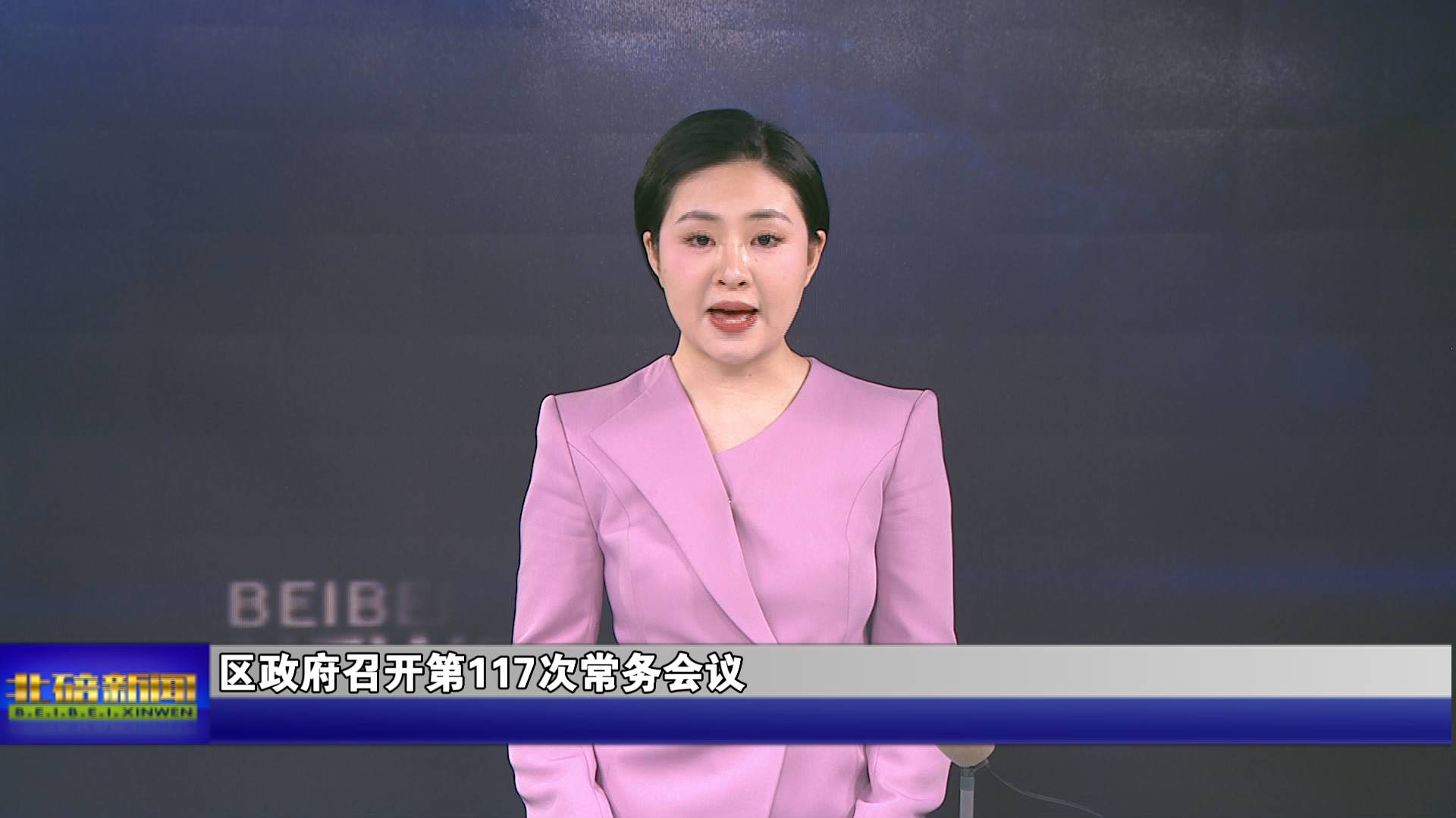 区政府召开第117次常务会议