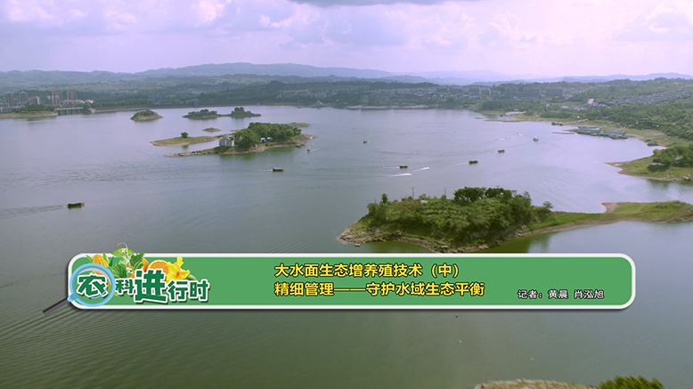 【农科进行时】大水面生态增养殖技术（中） 精细管理——守护水域生态平衡