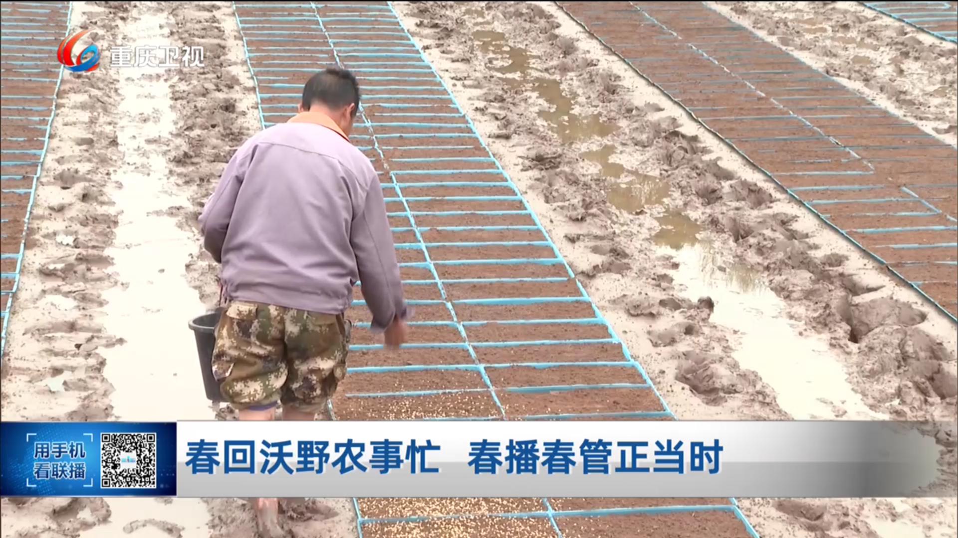 春回沃野农事忙 春播春管正当时