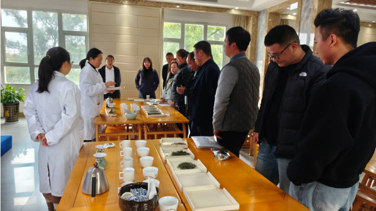 又是一年春茶时 重庆茶叶面临哪些机遇与挑战？