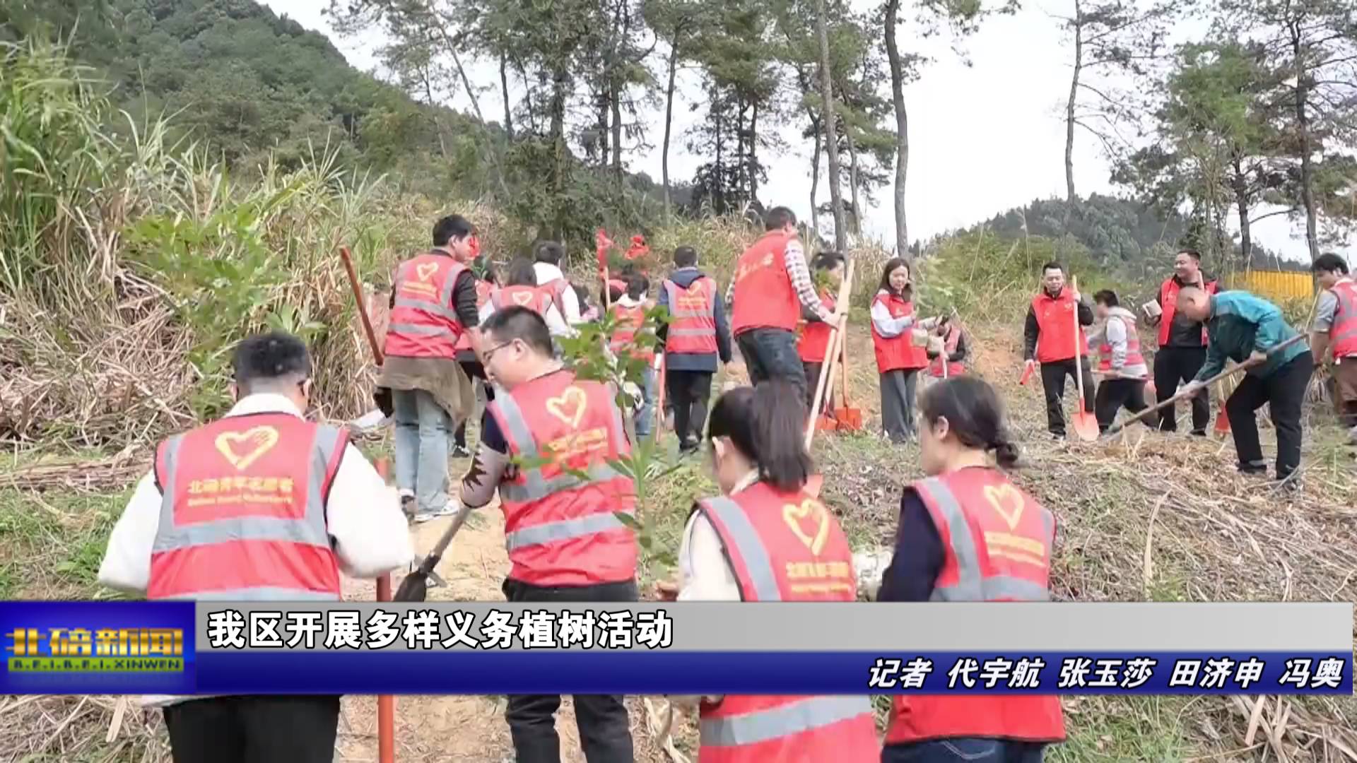 我区开展多样义务植树活动