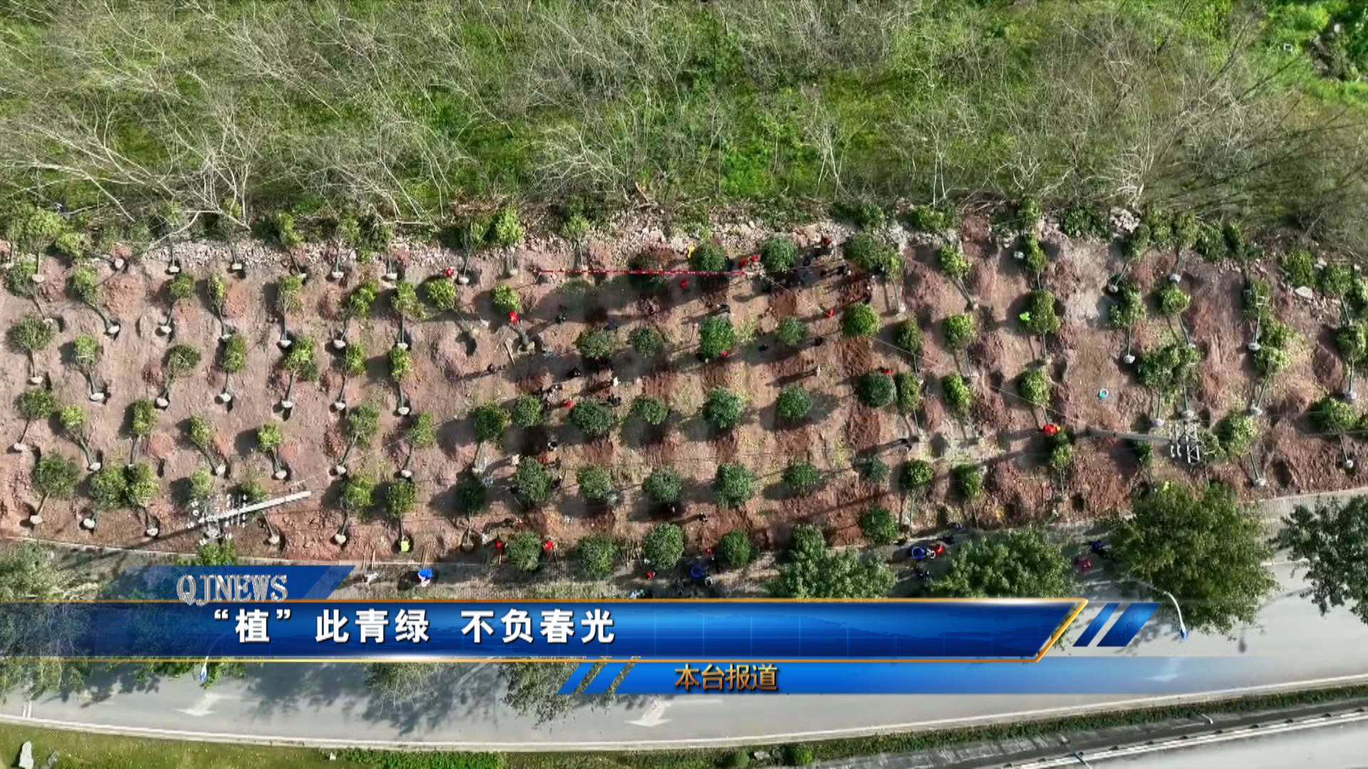 “植”此青绿  不负春光