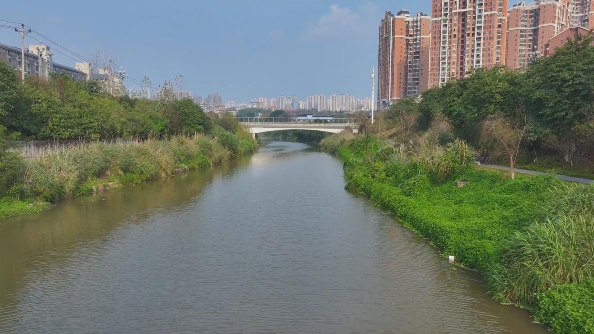 巴南·下午茶 我们这五年之《清水绿岸新画卷》