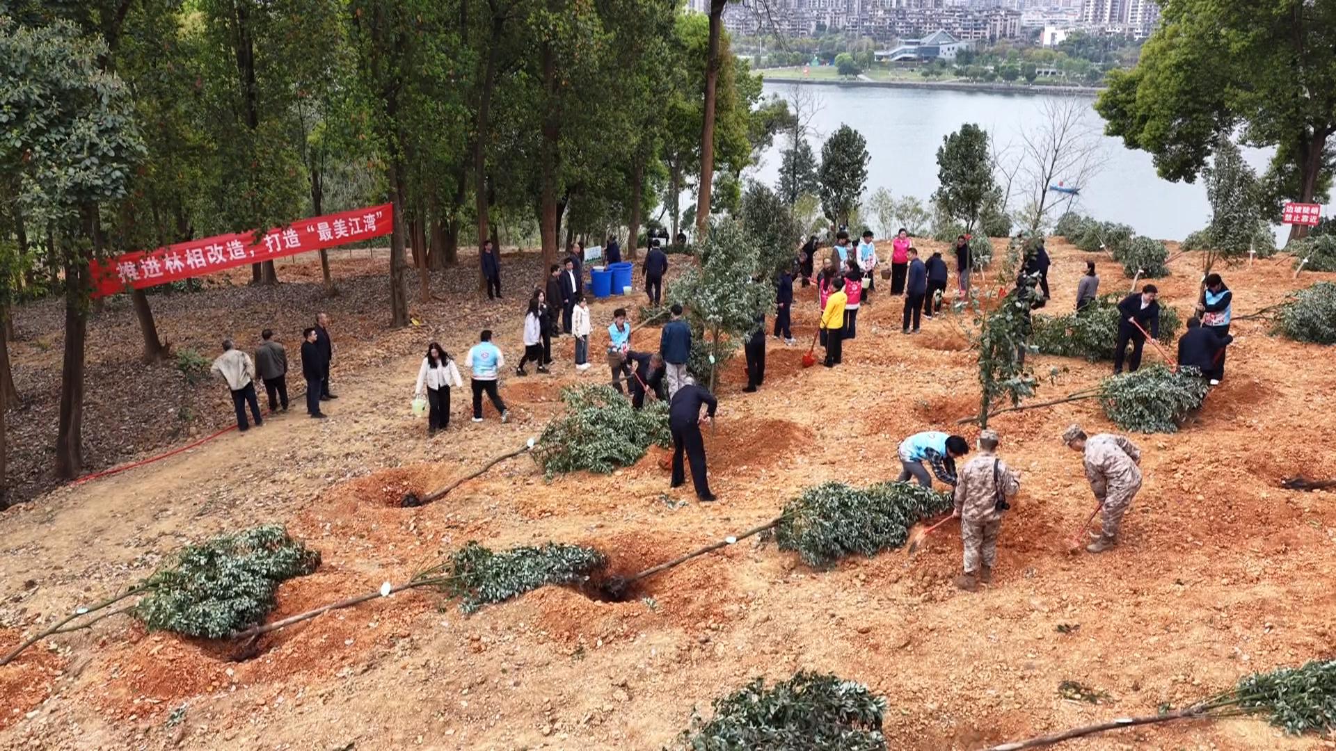 合川区开展2026年春季义务植树活动  携手植绿护绿 打造“最美江湾”  为合川建设现代化区域中心城市注入绿色动能