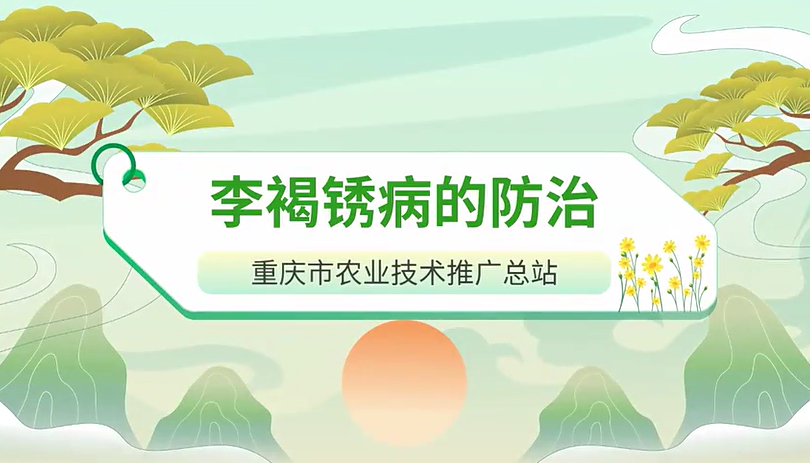 【农技短视频】李褐锈病的防治