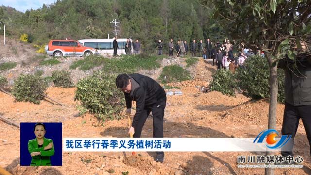 我区举行春季义务植树活动
