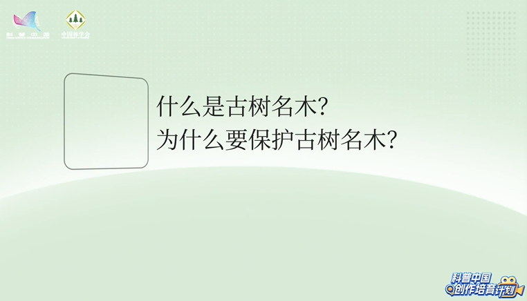 【自然有发现】什么是古树名木？为什么要保护古树名木？