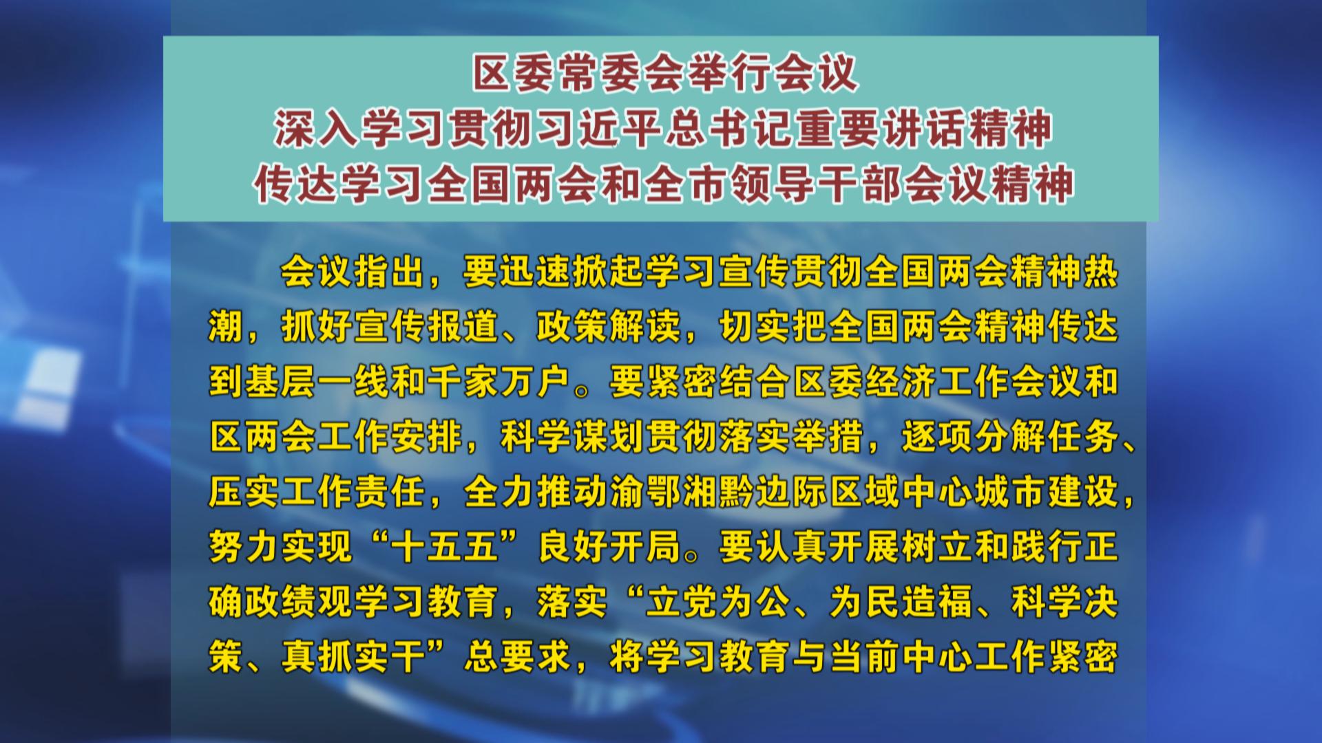 区委常委会举行会议