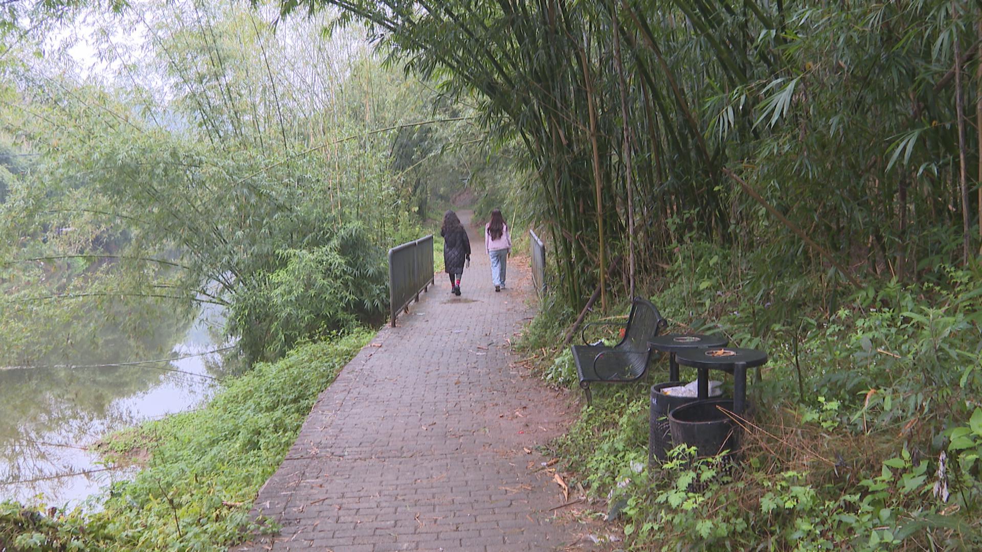 今日关注：垃圾遍地 林间便道很“受伤”