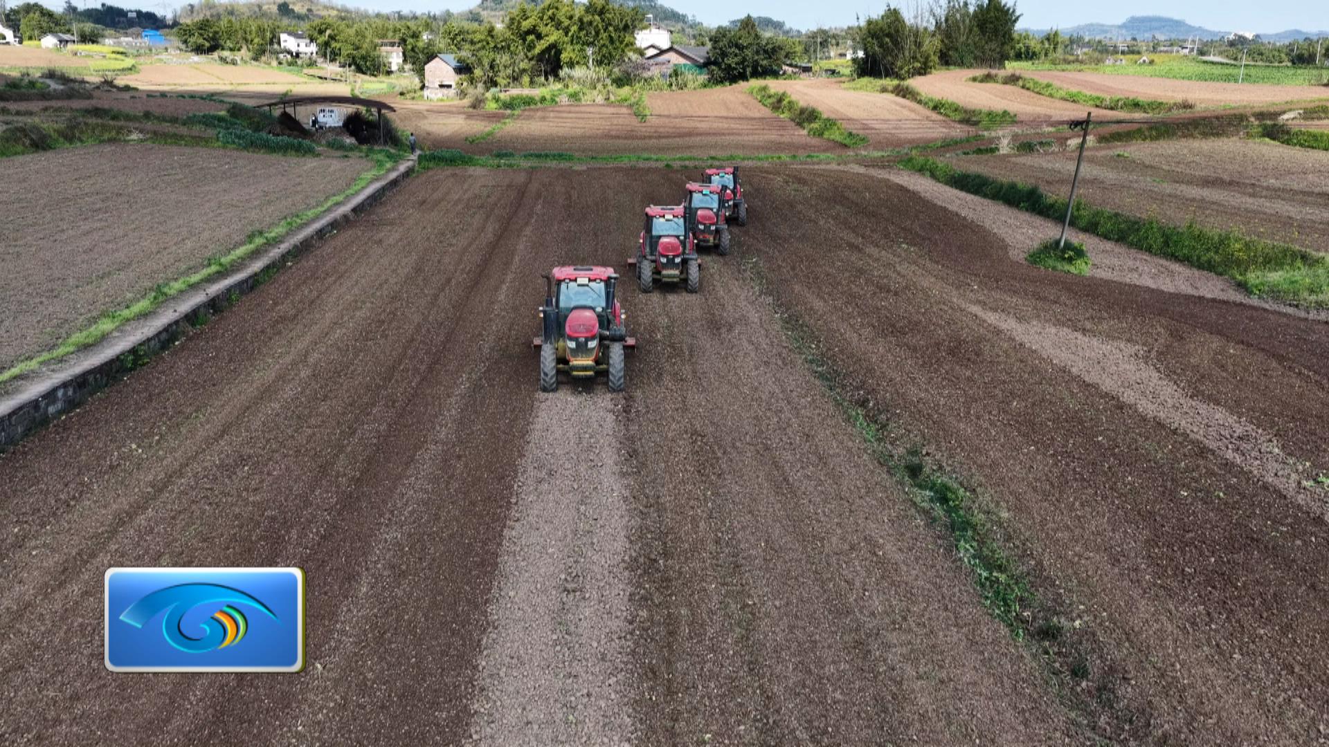 播种红高粱 种下新希望