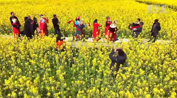 春日山城别样的赏花之旅